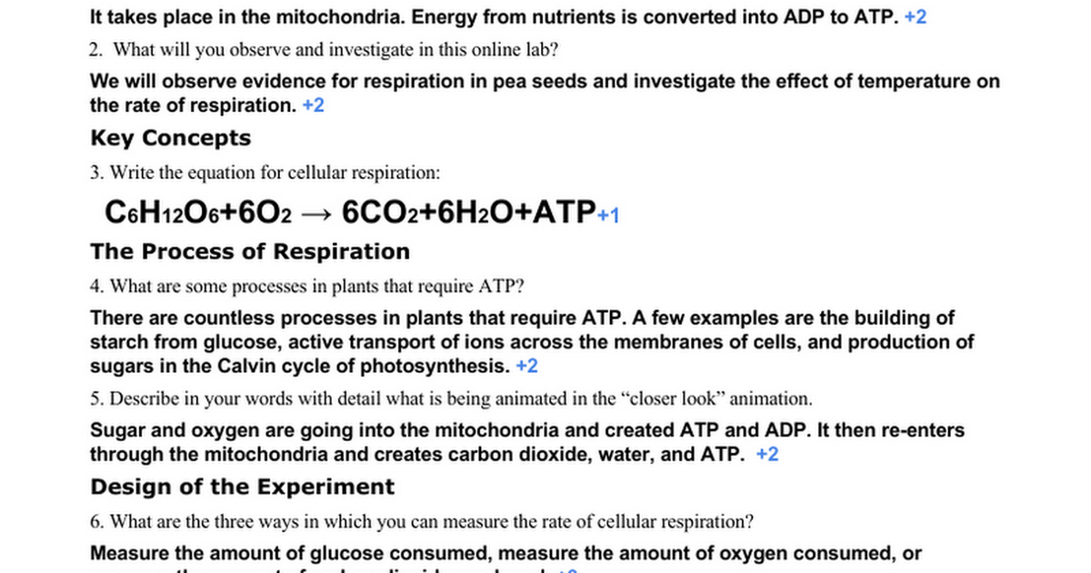 View Cellular Respiration Formula In Words Gif