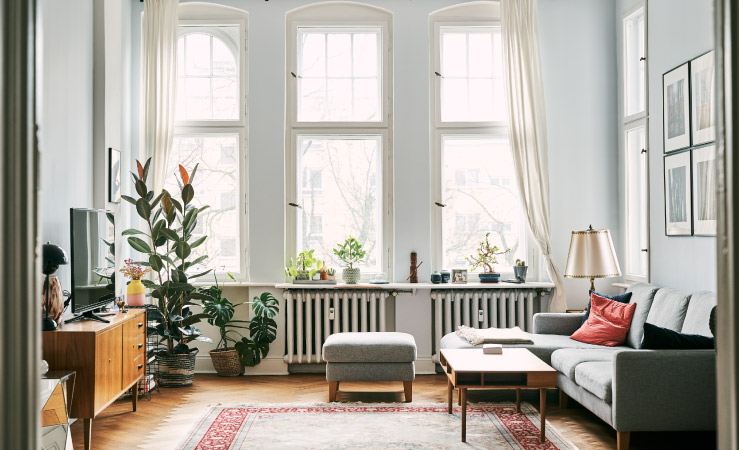 A nicely decorated living room with indoor plants and bright, natural light