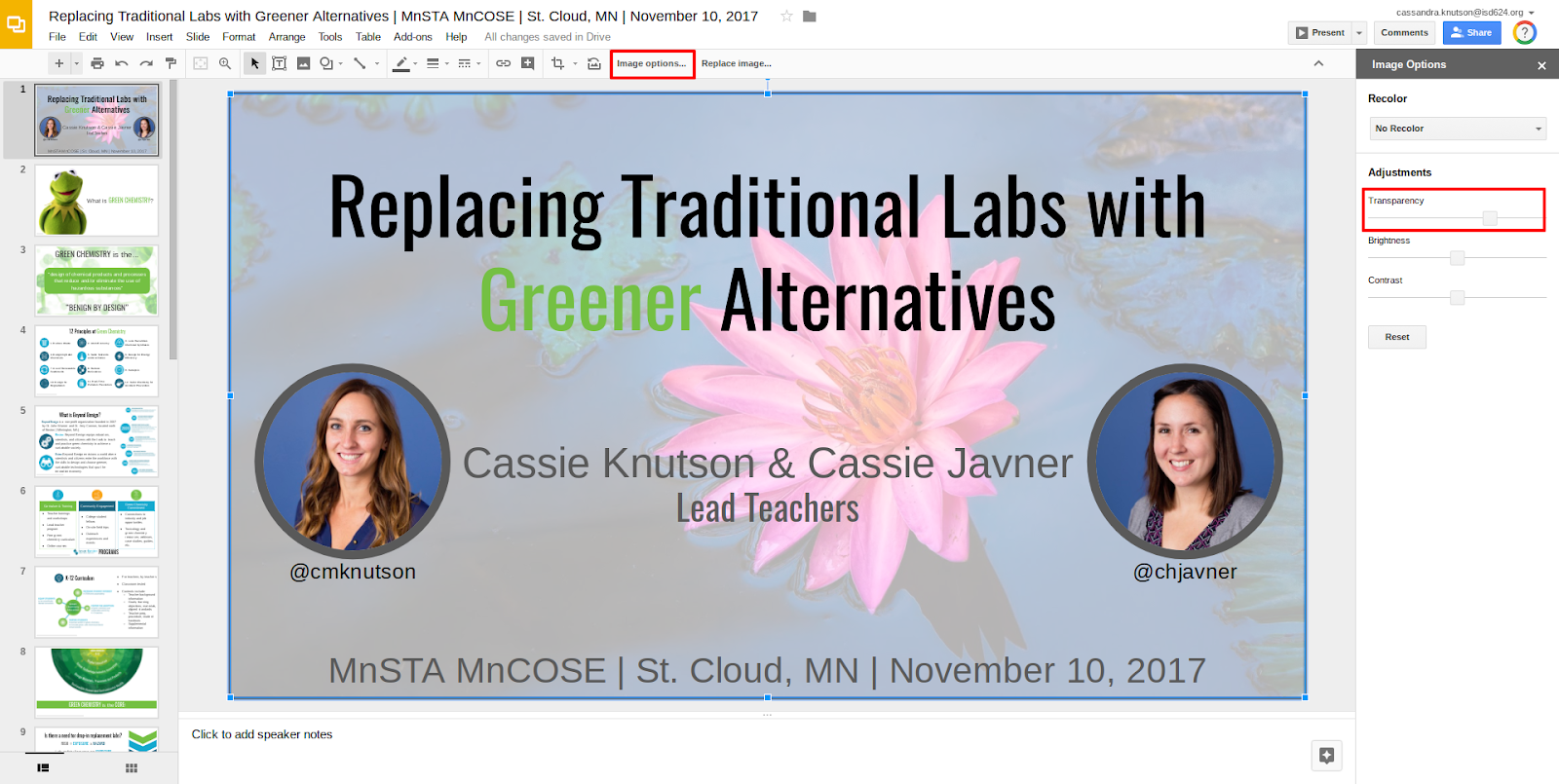 Replacing Traditional Labs with Greener Alternatives   MnSTA MnCOSE   St. Cloud  MN   November 10  2017   Google Slides.png