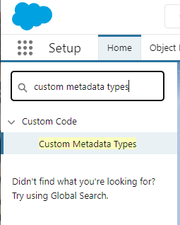 Searching for and selecting ‘Custom Metadata Types’