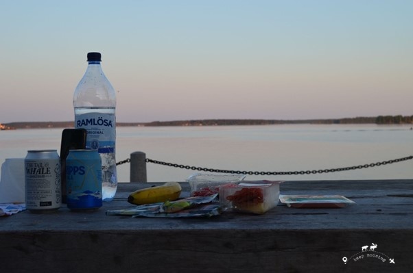 Our dinner in Lulea featured with a bottle of water, two canned beers, a banana, cheese and cured meats. In the background the Bothnian Sea.