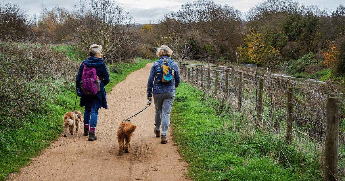 two ladies walking dogs