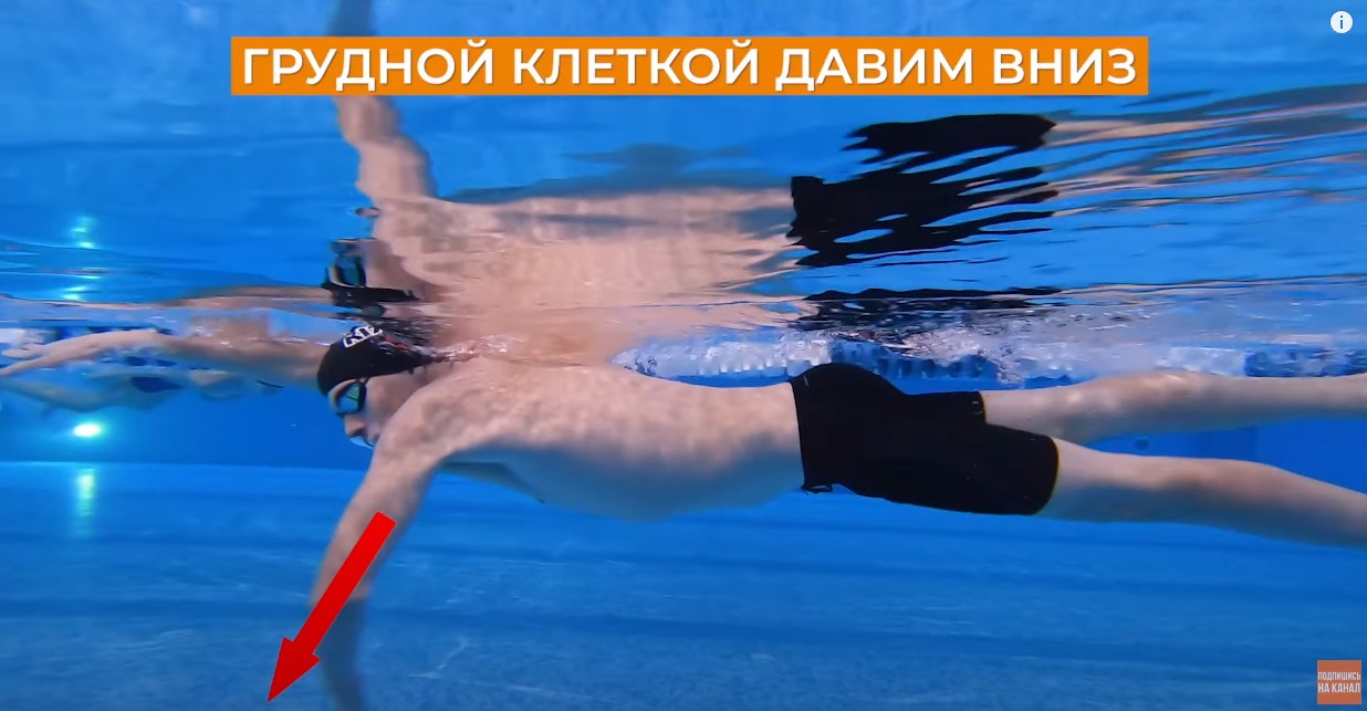 Школа плавания - Swimrocket