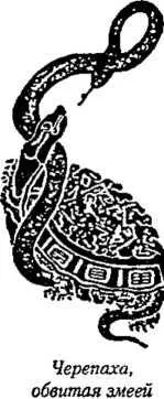 D:\0 wd yedek\acr yedek\1 film indirme\encyclopedia_symbols_roshal\encylopedia_files\000592.jpg