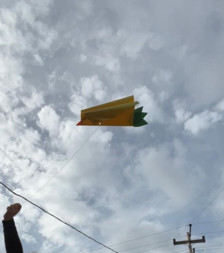 A kite flying in the sky

Description automatically generated with medium confidence