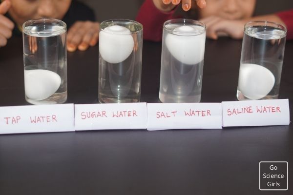 egg floating experiment with four different liquids 