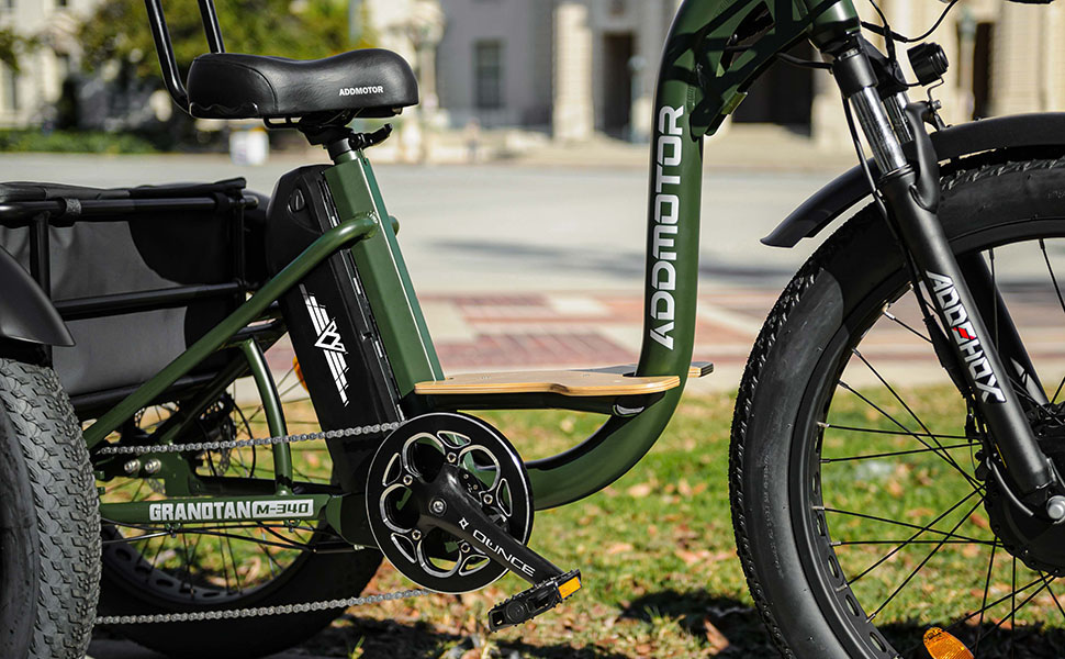 Electric Trike 