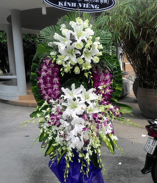 Ảnh có chứa ngoài trời, cây, mặt đất, hoa
Mô tả được tạo tự động