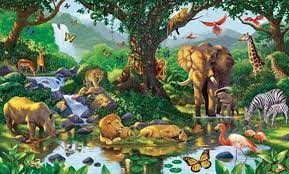 Animals That We Love, and The Wonders of Nature - About | Facebook