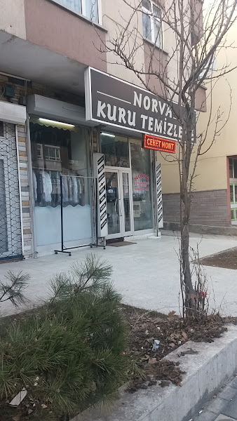 Norva Kuru Temizleme