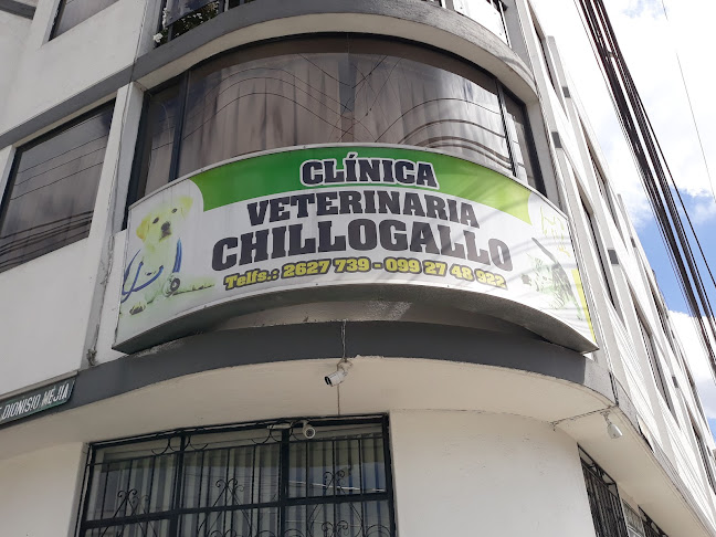 Opiniones de Clínica Veterinaria Chillogallo en Quito - Veterinario
