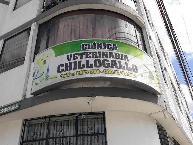 Clínica Veterinaria Chillogallo - Quito