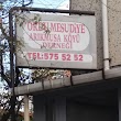 Ordu Mesudiye Arık Musa Köyü Derneği