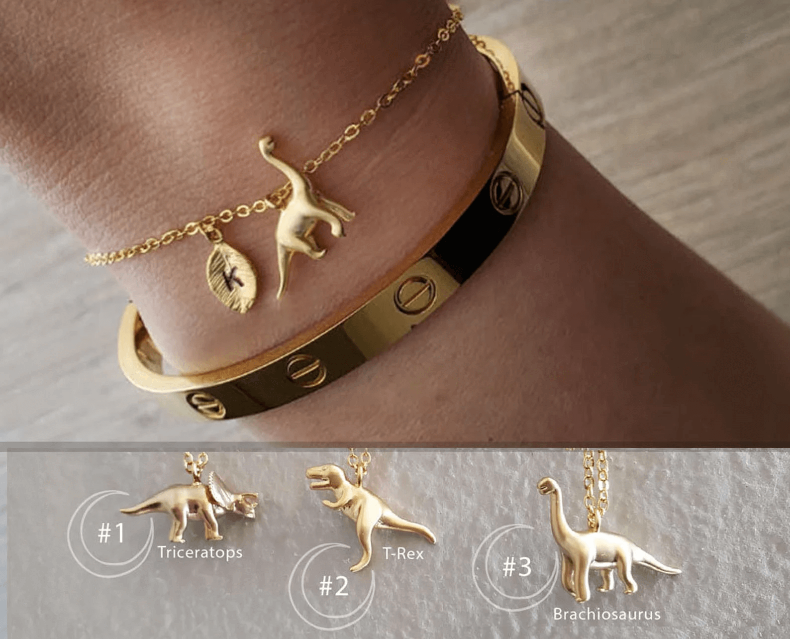 Dinosaur Jewelry