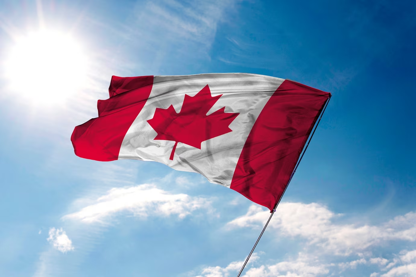 कनाडा के झंडे पर मेपल का पत्ता क्यों है! | प्लैनेटस्पार्क