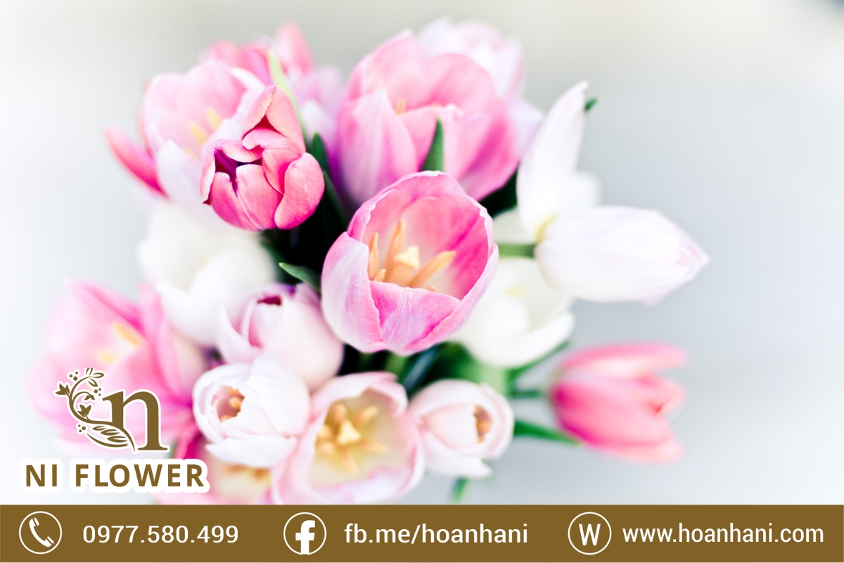 hoa-tuoi-de-ban-dam-cuoi-22