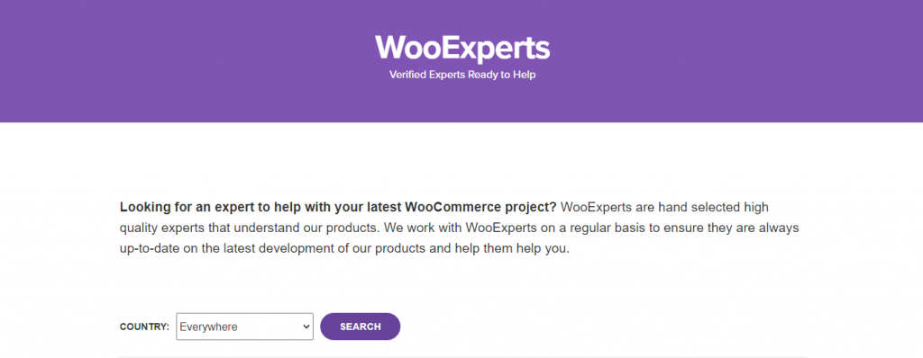 La page d'accueil de WooExperts.