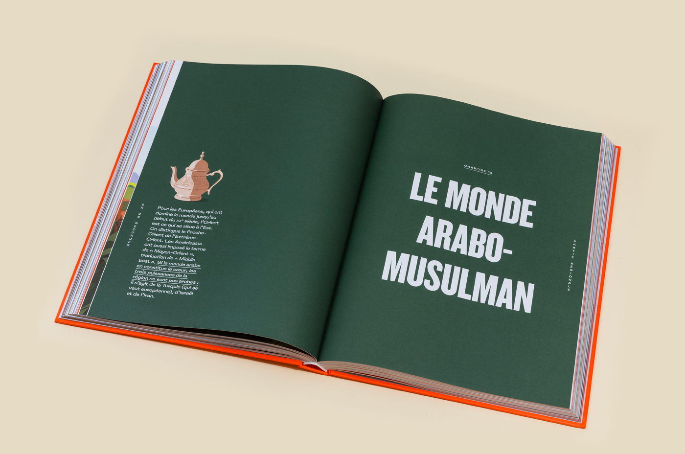 book Character design Drawing  edition editorial FagoStudio geopolitics ILLUSTRATION  illustrations