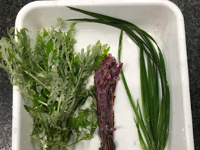 画像をダウンロード 水草 農薬 除去 183132-ミナミヌマエビ 水草 農薬 除去