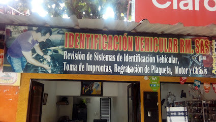 Identificación Vehicular RM. SAS