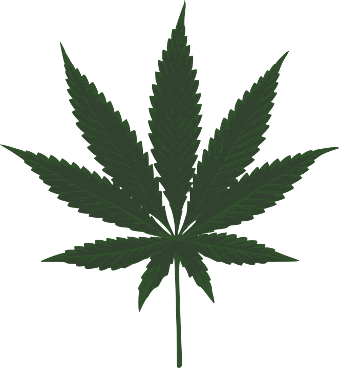 weed