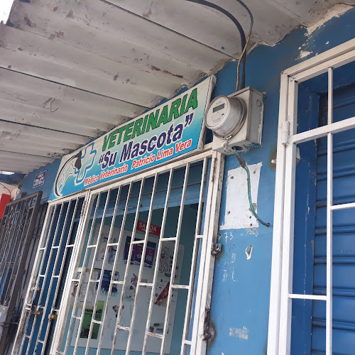 Trans-Estiba - Guayaquil