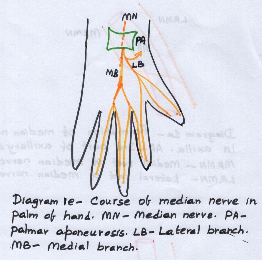 D:\Chitra Scans\Fig004 a.jpg