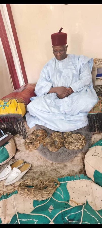 Inside Yobe Kingdom Where Snakes Are Relatives to Locals 2