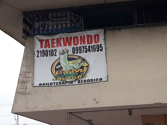 Opiniones de GARCÍA´S TAEKWONDO GYM en Guayaquil - Gimnasio