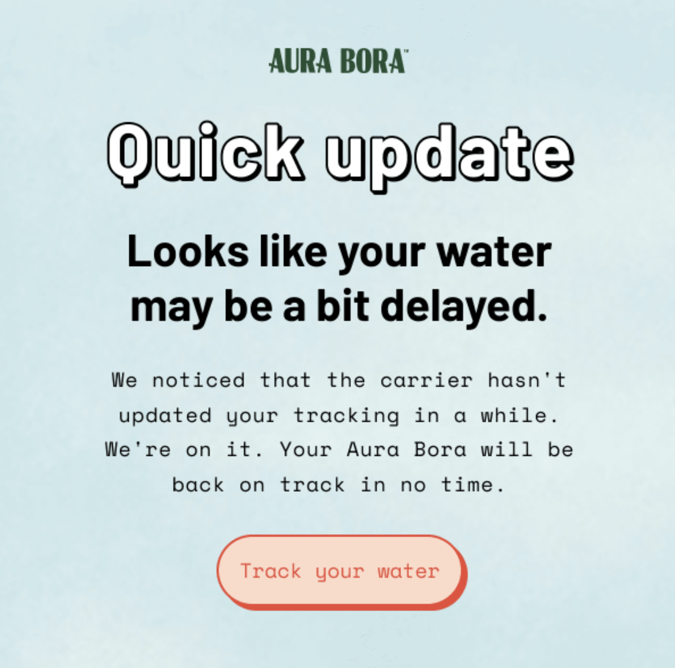 Delayed shipment transactional email from Aura Bora