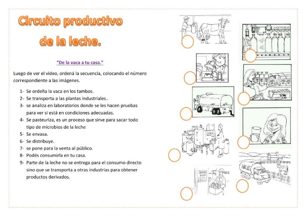 Ejercicio interactivo de Circuito productivo de la leche