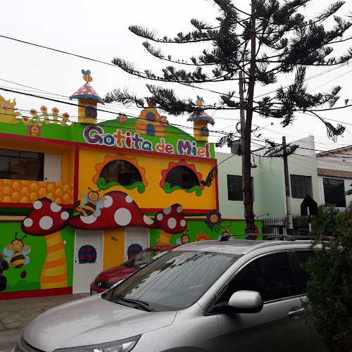 Nido Gotita de Miel