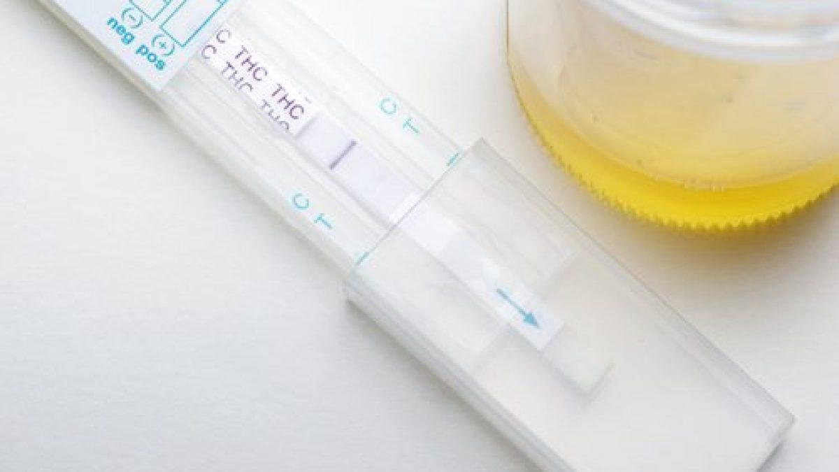 Drug Test Tampering: Methods and Myths - Tomo Drug Testing