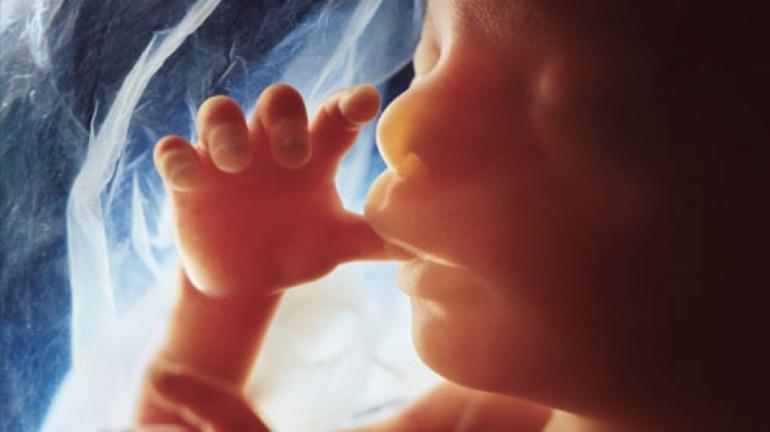 Unborn child finger in mouth 9-13-22.jpg