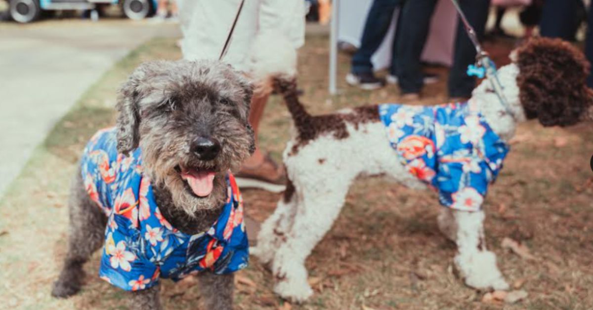Barktoberfest Photo 1