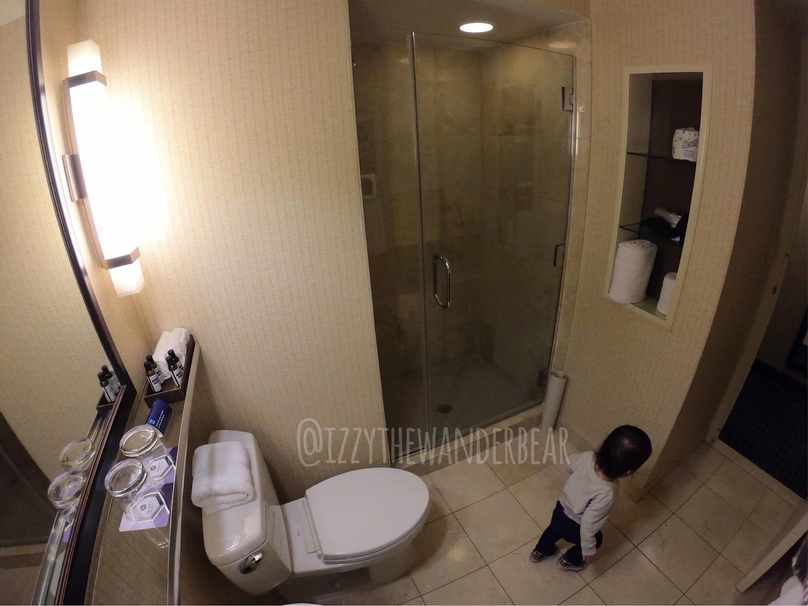 ITWB - Hyatt Regency Capitol Hill, Washington DC Review