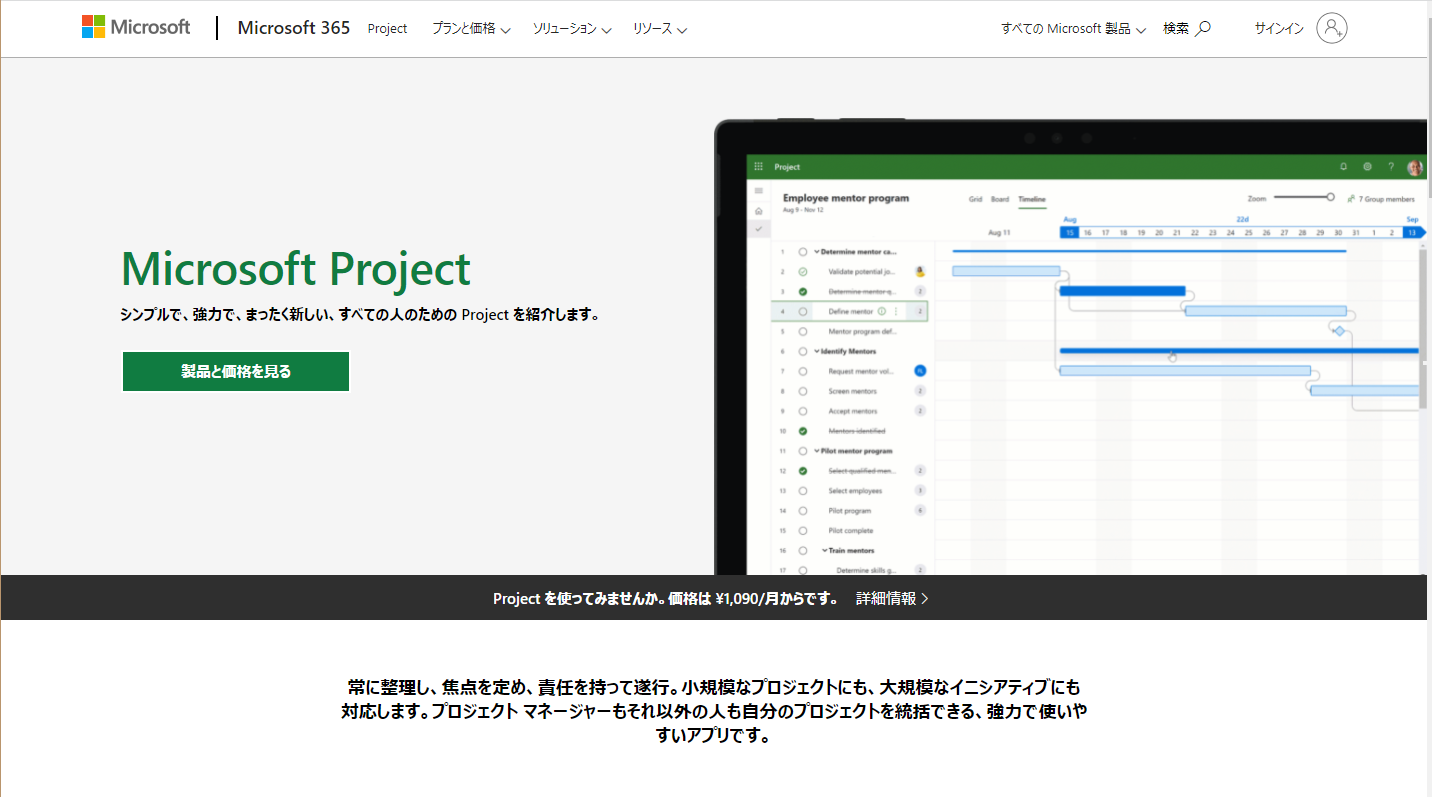  Microsoft Project