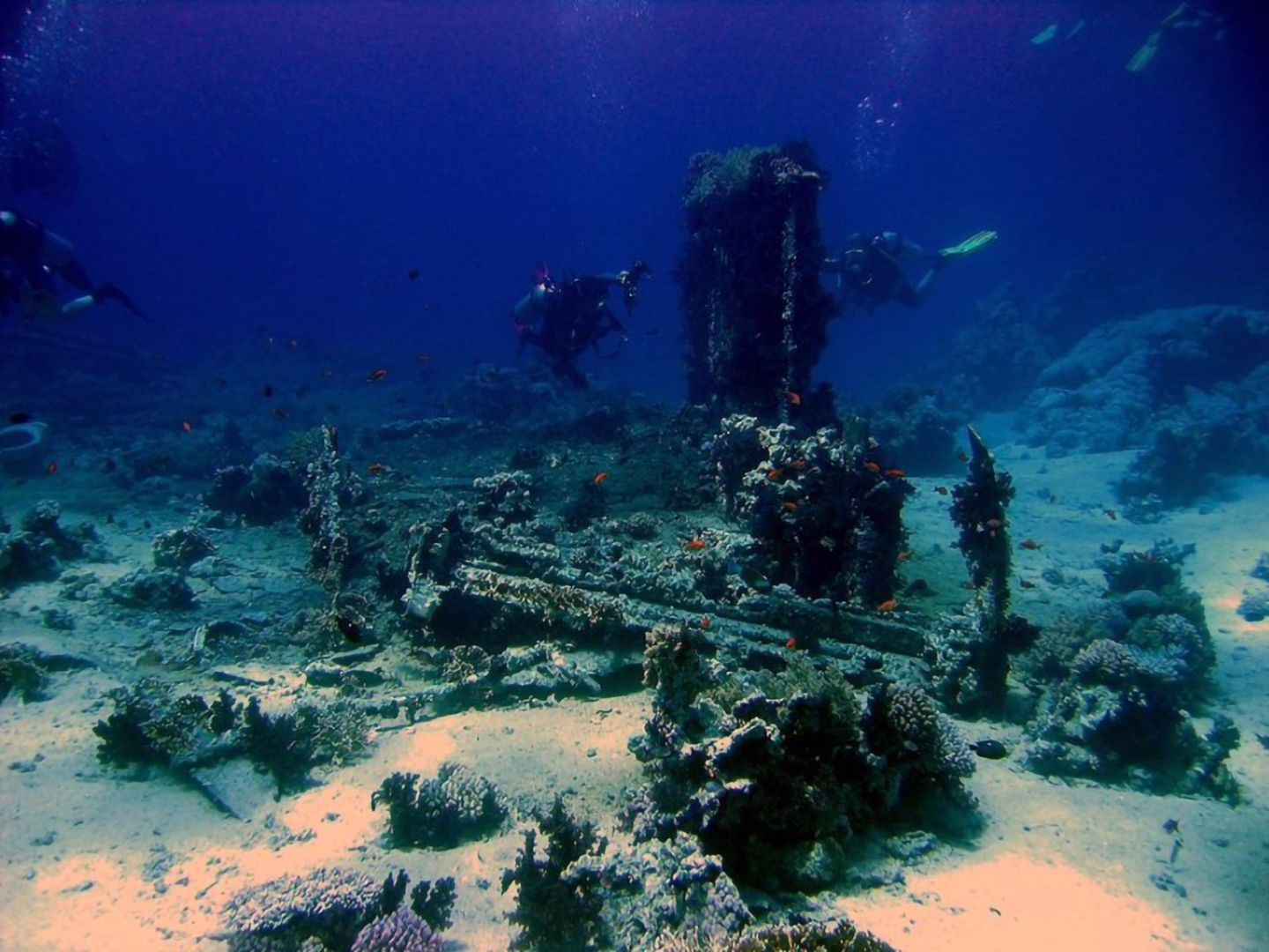 An image of divers spearfishing around the wrecks of the upper Florida Keys