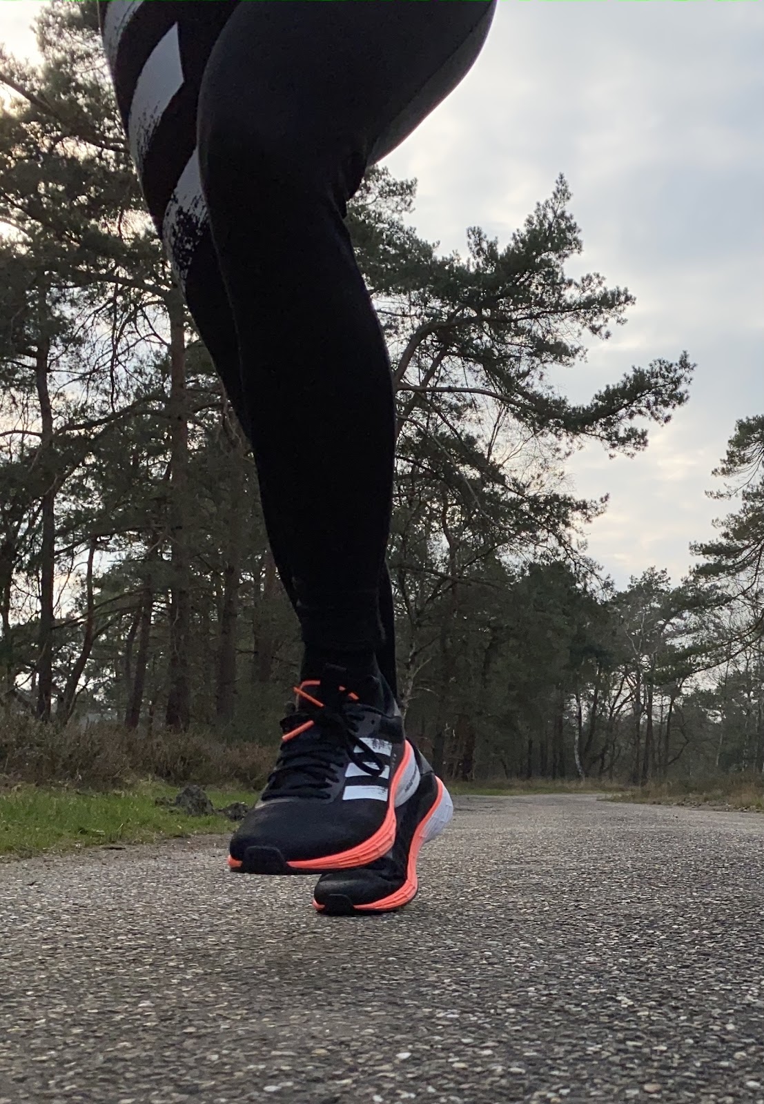 Adidas SL20 – A fast shoe for everyone? – Heart Runner Girl