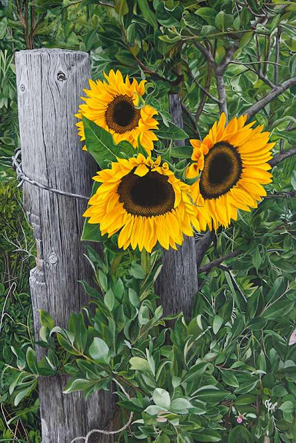 Sunflowers by Jerry Epp