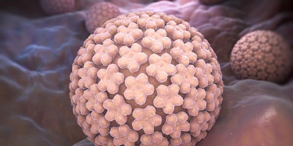 Hình ảnh virus HPV sùi mào gà