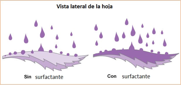 Uso de aditivos para aumentar superficie de contacto durante la pulverización. 