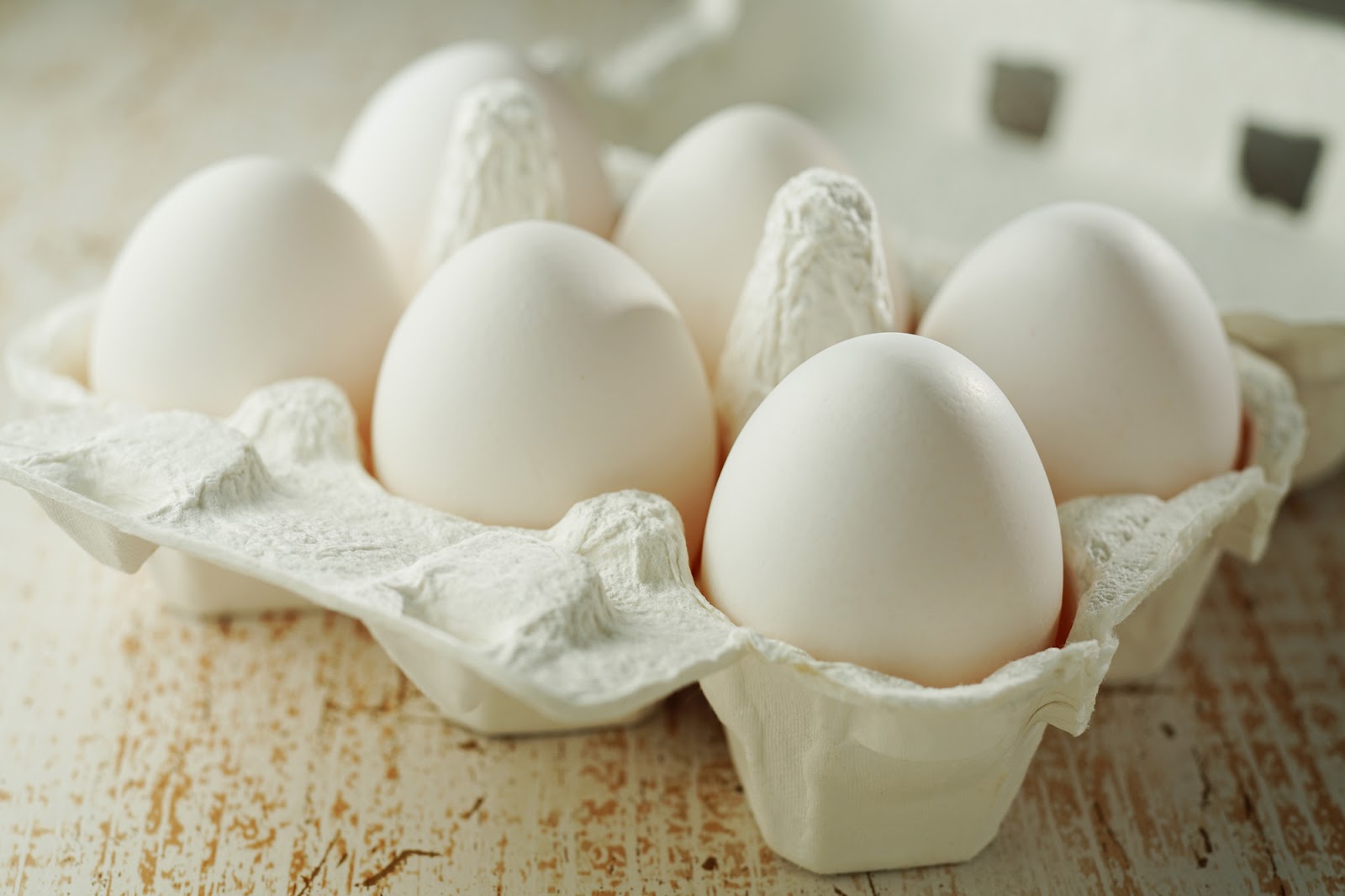 オーガニック卵と一般の卵との違い