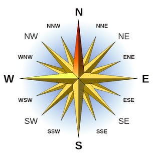 a "Compass Rose"
Single letter points are called "primary points" (N,S,E,W), two letter points are called "secondary points" (NE, SW, etc...), and three lettered points are called "tertiary points" (NNE, ESE, etc...)