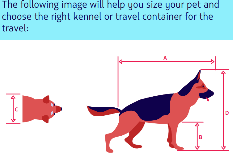 pet kennel or travel container for latam airlines.