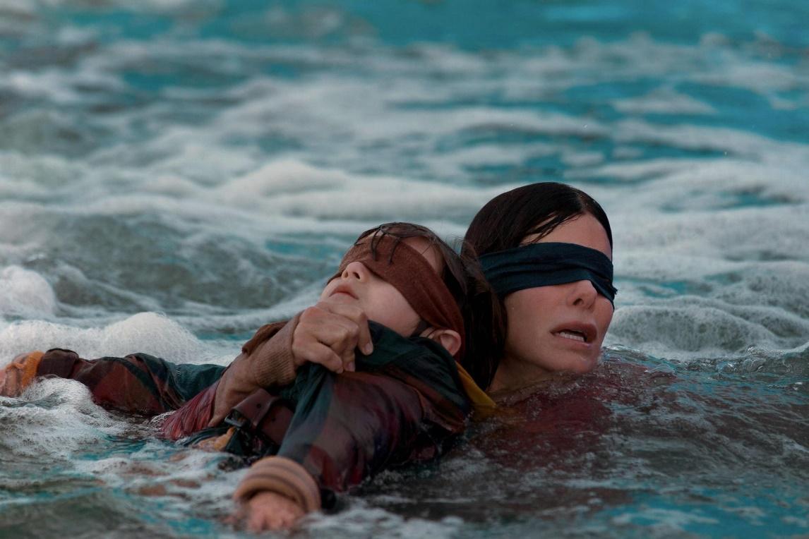 2. BIRD BOX  04