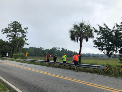 A group of palm trees on the side of a road

Description automatically generated