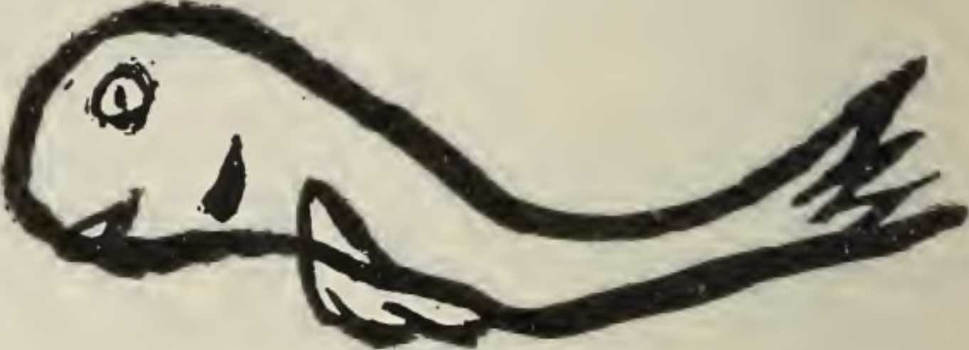 .com/