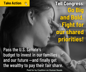 Image of digital ad, with text tell congress: go big and bold. fight for our shared priorities!
