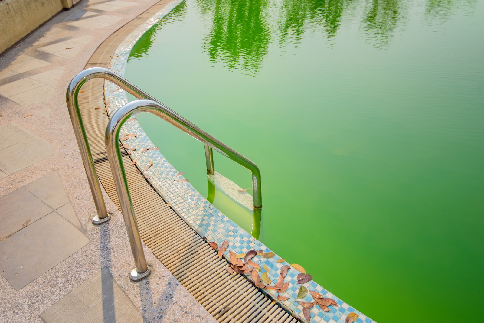 an inground pool with cloudy green pool water 